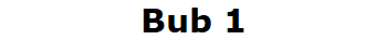 Bub 1